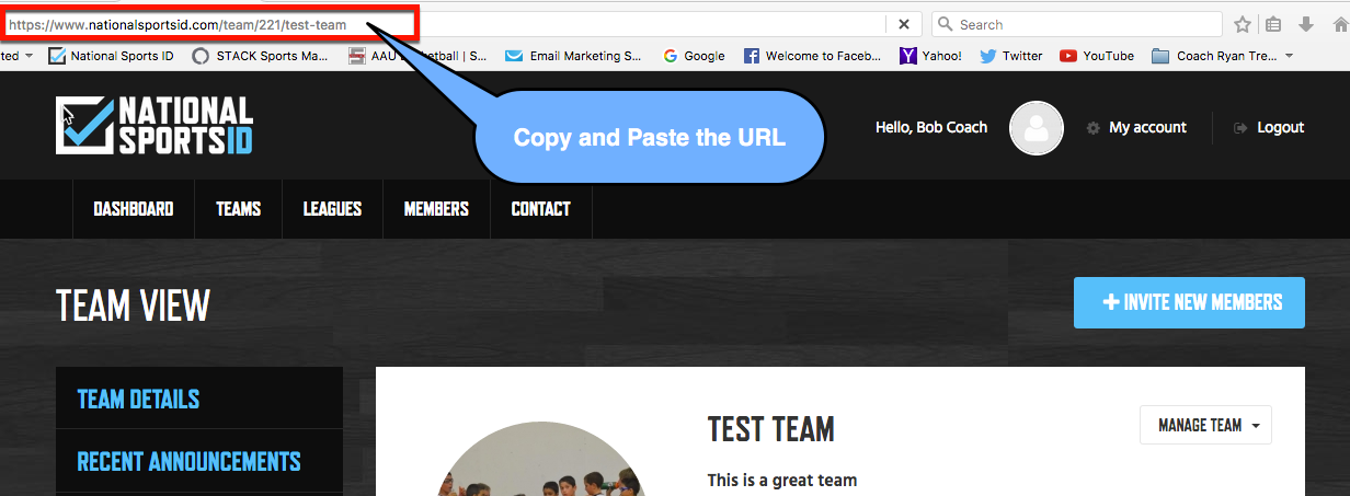 16 - Copy and Paste Team URL